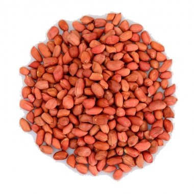 內(nèi)蒙古花生進(jìn)出口業(yè)務(wù)