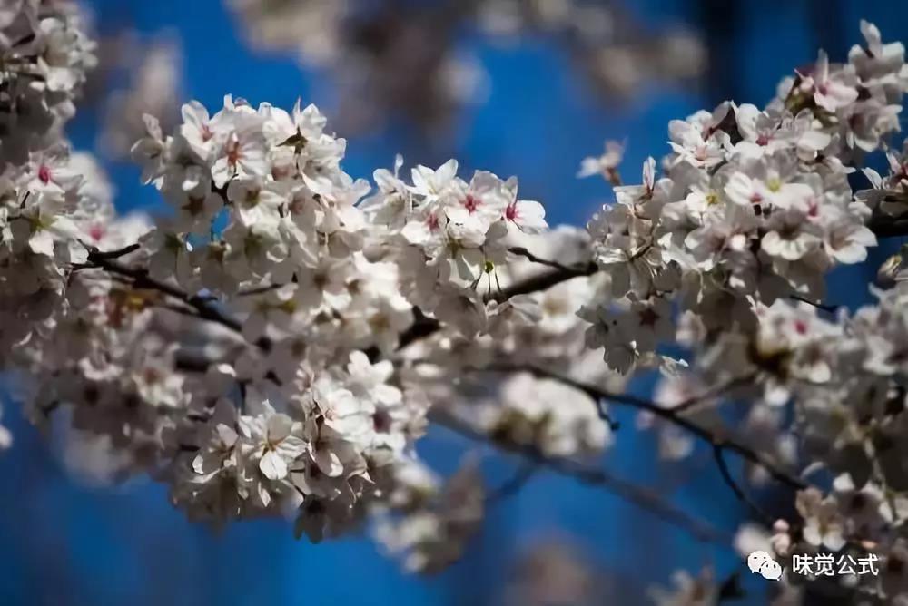 1553584738419833.jpg 1553584738419833.jpg