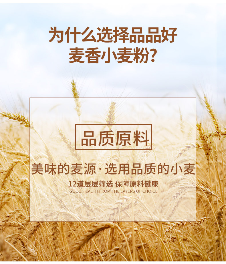 1642669932259871.jpg 麥香小麥粉_04.jpg