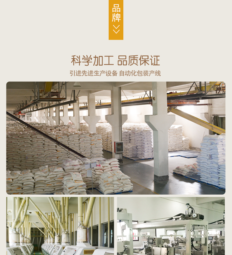 1651203676722901.jpg 800手搟_09.jpg